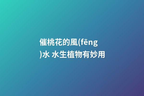 催桃花的風(fēng)水 水生植物有妙用